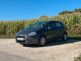 Fiat Punto / 2017 / 69PS / 85.286km - Fiat Punto von privat