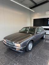 Jaguar XJ40 - Jaguar XJ40 Gebrauchtwagen