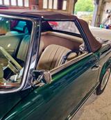Mercedes-Benz 250SL W113 PAGODE 4-Gang Hand grün-beige selten! - Mercedes-Benz: W113 Pagode