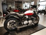 Triumph Speedmaster sofort verfügbar - TRIUMPH SPEEDMASTER