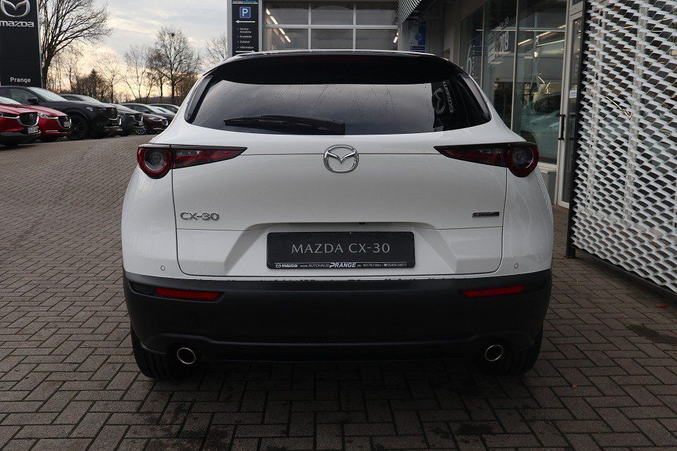 Fahrzeugabbildung Mazda CX-30 2025 M-Hybrid Homura G-140 *Sofort* NAVI A