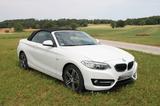 BMW 220i Cabrio Sport Line Sport Line - BMW 220 von privat