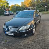 Volkswagen Phaeton 3.2 V6 4MOTION Tiptronic 5-Sitzer St... - Volkswagen Phaeton mit Benzin-Antrieb: Limousine, 4.2