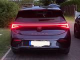 Cupra Pano*ACC*HUD*360-Kam*8-Fach-20Zoll*Keyless*Wärme - Cupra Born Gebrauchtwagen