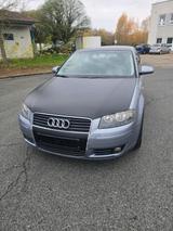 Audi A3 8P -2.0 FSI-  TÜV NEU - Audi A3 aus 2003: 8p