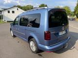 Volkswagen Caddy MaxiACC, AHK, Klima, Navi, Alcantara - Volkswagen Caddy Maxi aus 2017