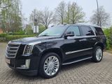 Cadillac Escalade 6.2 GMT K2XL Platinum VOLL*SHD*MASSAGE - Cadillac Escalade: V