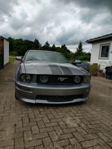 Ford Mustang 4.0  Tausch möglich - Ford Mustang aus 2006: Coupé