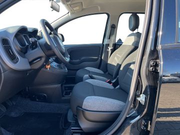 Fiat Panda Hybrid 1.0 GSE Klma+DAB+Isofix+Allwetter