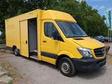 Mercedes-Benz Sprinter/Koffer/Regalsystem - Angebote entsprechen deinen Suchkriterien
