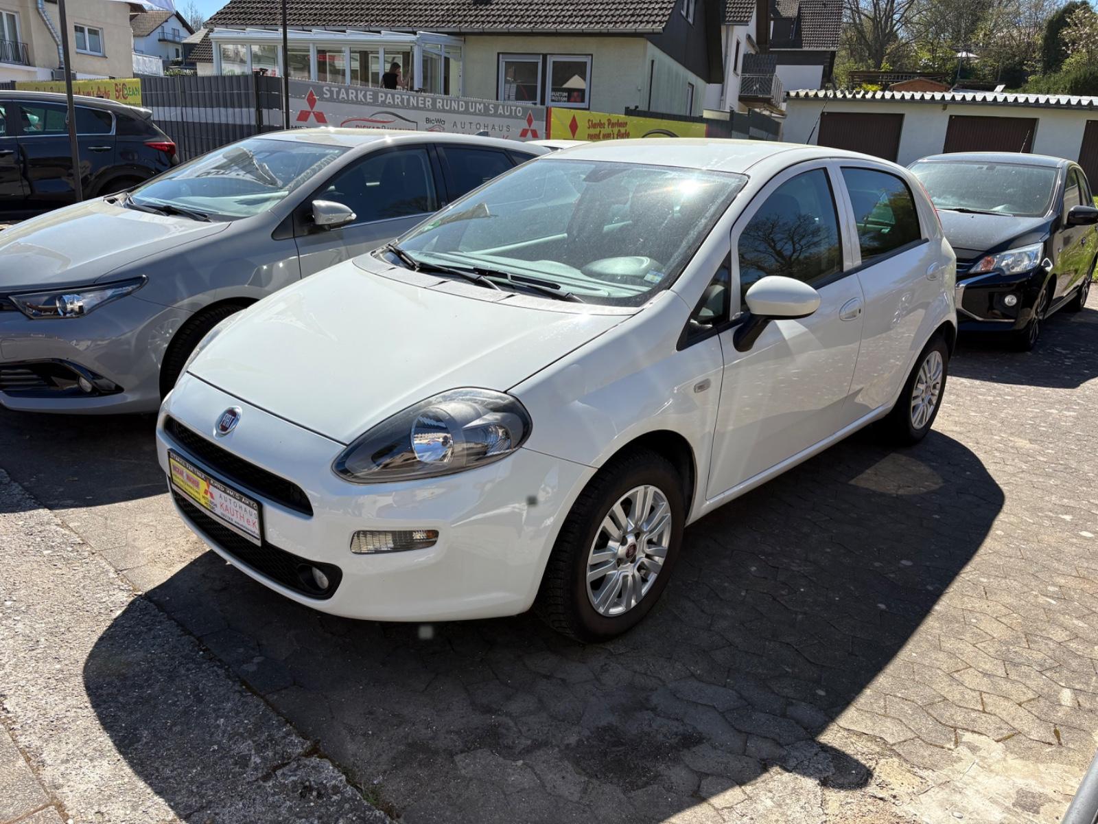Fiat Punto More