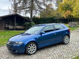Audi A3 2.0 FSI 150PS,Xenon,BOSE,Navi,6Gang - Audi A3: Fsi