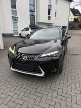 Lexus UX 250h Edition Style 4x4 - Lexus aus 2021