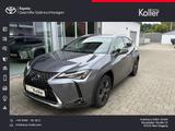 Lexus UX 250h AWD Executive (E-FOUR) - Lexus UX Gebrauchtwagen