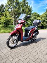 Honda 125 SH Mode Scheckheft TÜV 10.26 - HONDA SH MODE 125