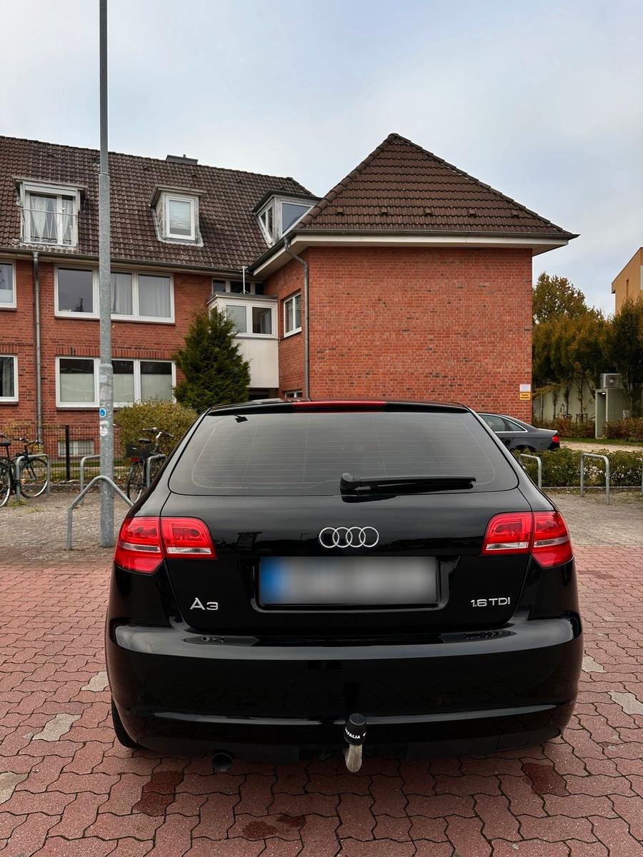 Audi A3 2009 — engine 90 HP (66kW)
