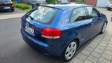 Audi A3 8P 2.0 TDI , 12fach Bereifung, Spritsparer! - Audi A3 aus 2003: 2.0