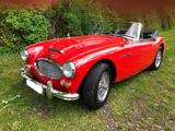 Austin Healey Mark III, Sechszylinder 3,0 Liter, BJ8 - gebrauchte Austin Healey Cabrios
