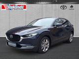 Mazda CX-30 Selection 360° kamera, Elek. Heckklappe, S - Mazda in Lübeck