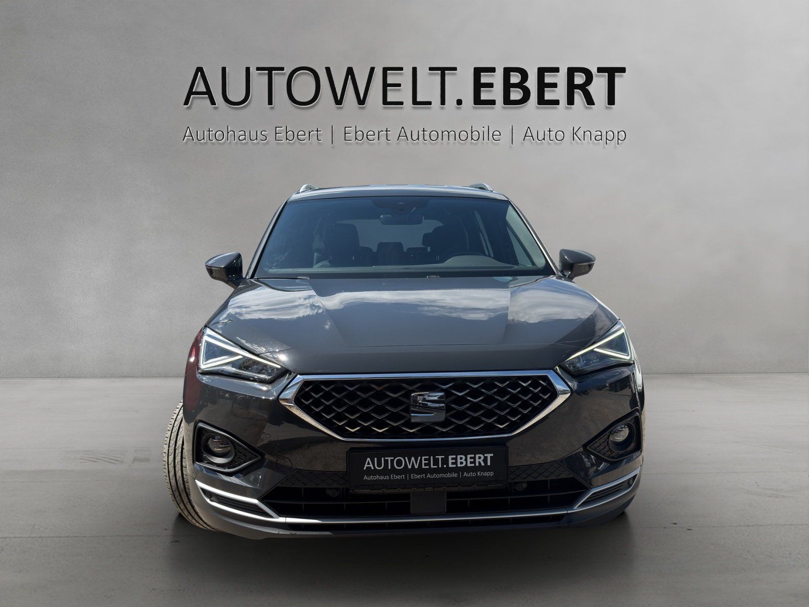 Fahrzeugabbildung SEAT Tarraco 1.5 TSI ACT Xcellence 7Sitzer/Navi/PDC
