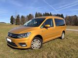 Volkswagen Caddy Maxi 4Motion 2.0TDI DSG AHK 7-Sitzer - Volkswagen Caddy Maxi: 4motion