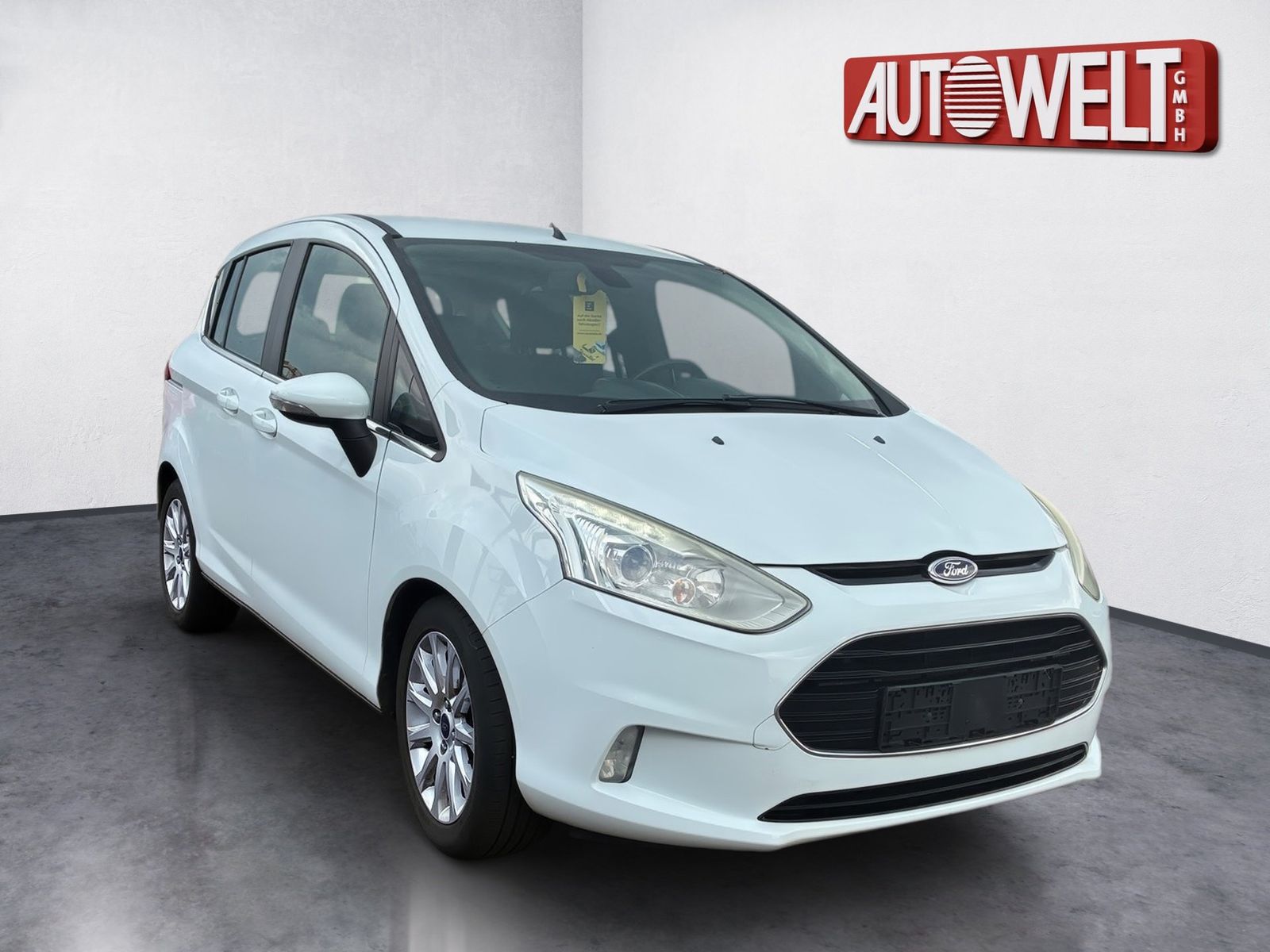 Fahrzeugabbildung Ford B-MAX 1.0 EcoBoost Titanium SHZ,Keyless,LM,FLA