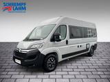 Globecar Globescout Elegance SIE SPAREN: 9.634,-- € - Globecar Elegance