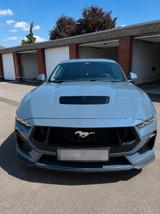 Ford Mustang GT 5.0 V8 | MagneRide | 10-Gang | Grail  - Ford Mustang Gebrauchtwagen in Mönchengladbach