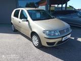 Fiat Punto Classic 1.2 5 porte Dynamic NEOPATENT - Fiat Punto mit Benzin-Antrieb: Classic