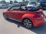 Volkswagen Beetle Cabriolet Sport BMT - mit Benzin-Antrieb Autos in Leipzig: Cabrio
