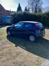 Fiat Punto - Fiat Punto in Bremen