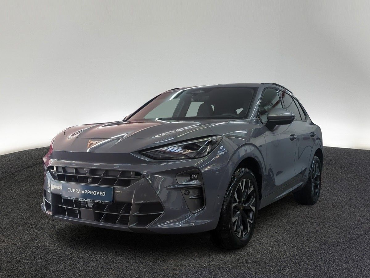 Cupra Terramar - Bild 2