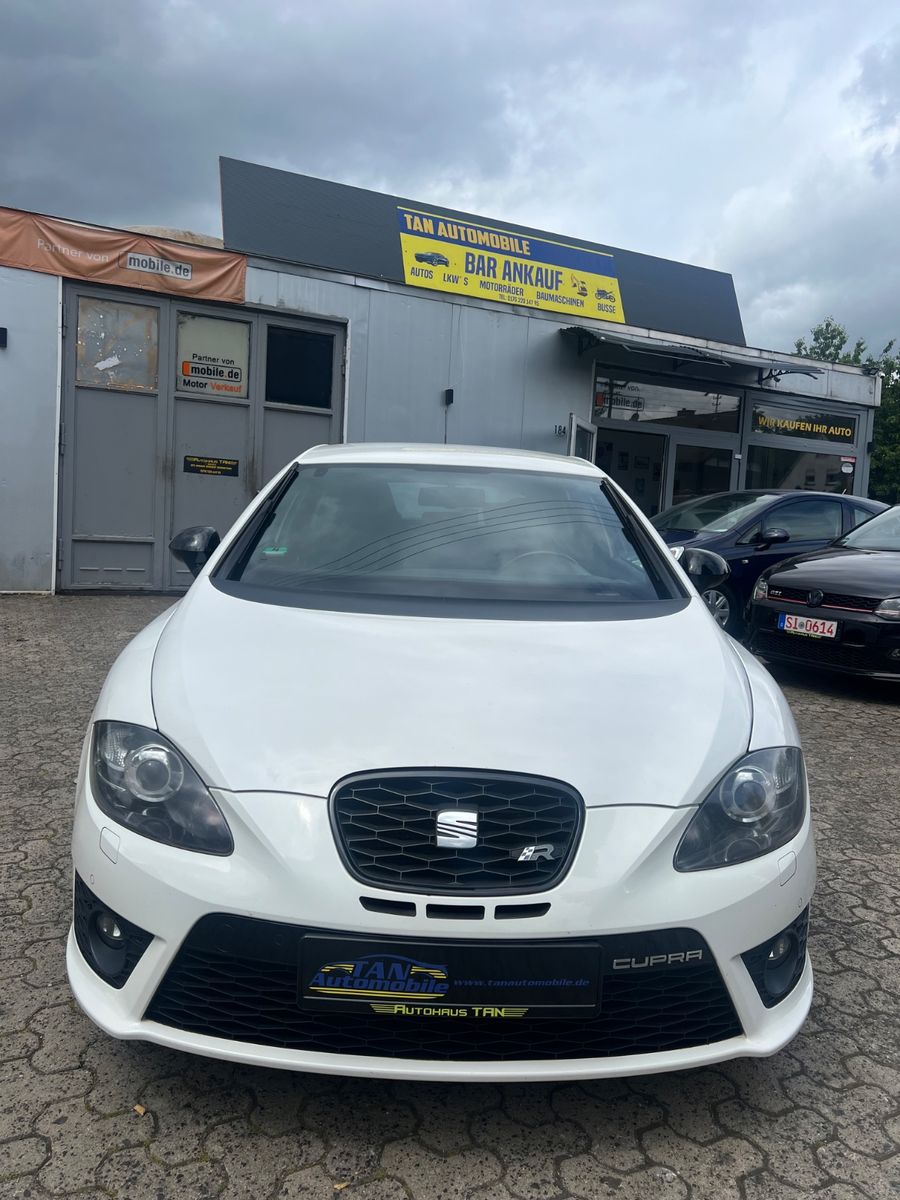 Fahrzeugabbildung SEAT Leon Cupra R *H&R*BULX*