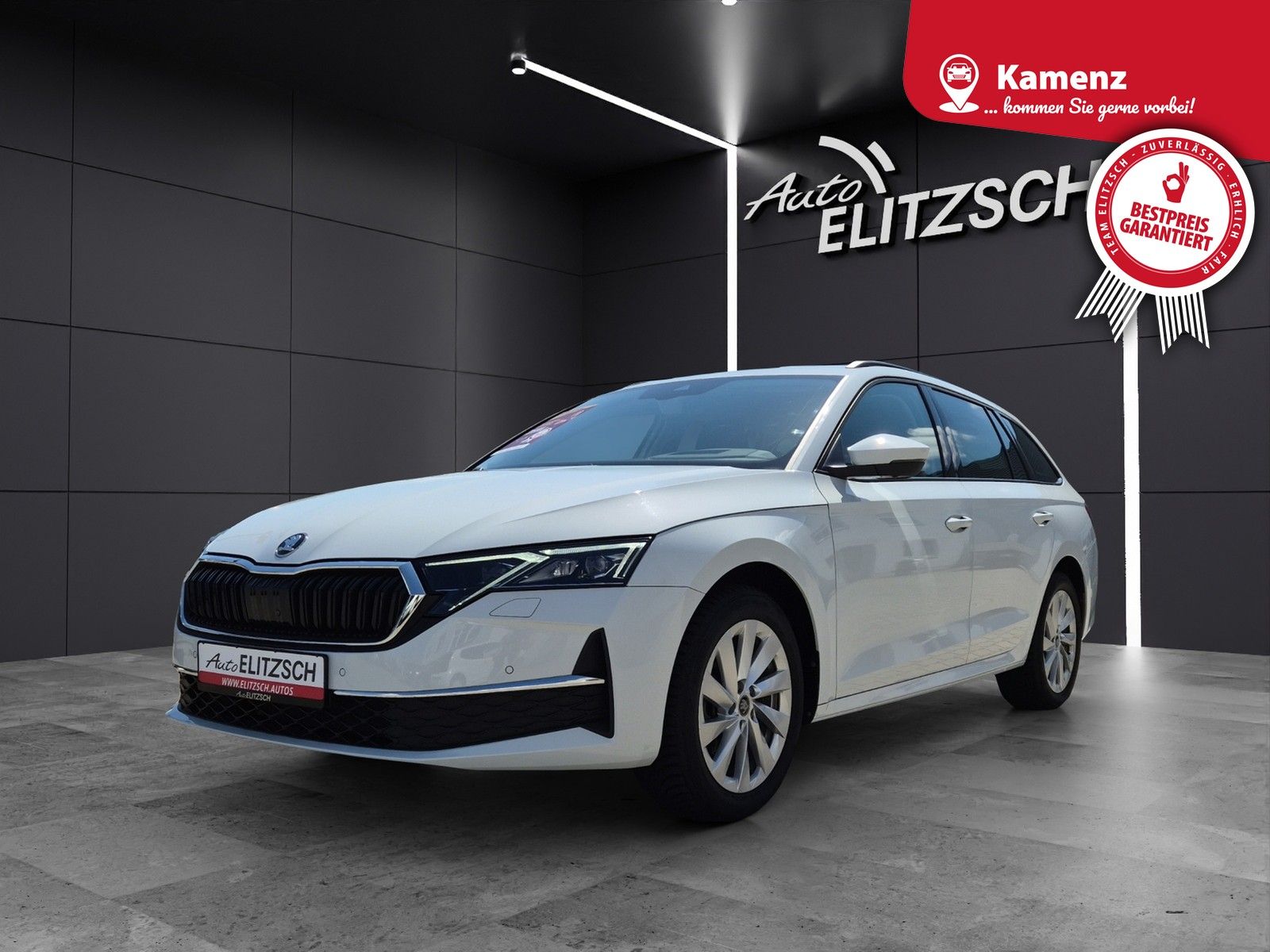 Fahrzeugabbildung SKODA Octavia Combi TDI Selection DSG Matrix Navi ACC