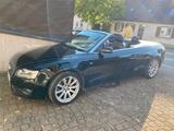 Audi Cabriolet - Audi Cabriolet: Cabrio