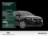 Skoda Karoq - Vorschau Bild 1
