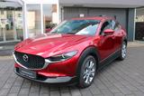 Mazda CX-30 2.5 e-SKYACTIV G TAKUMI*MATRIX-LED*LEDER - Mazda CX-30 mit Benzin-Antrieb: Takumi