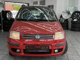 Fiat New Panda 1.2 8V Dynamic, GSHD, Servo, HU neu ! - Fiat New Panda Benziner Gebrauchtwagen