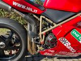Ducati 996 Foggy - DUCATI 996