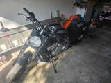 Harley-Davidson V rod muscle  - Offers