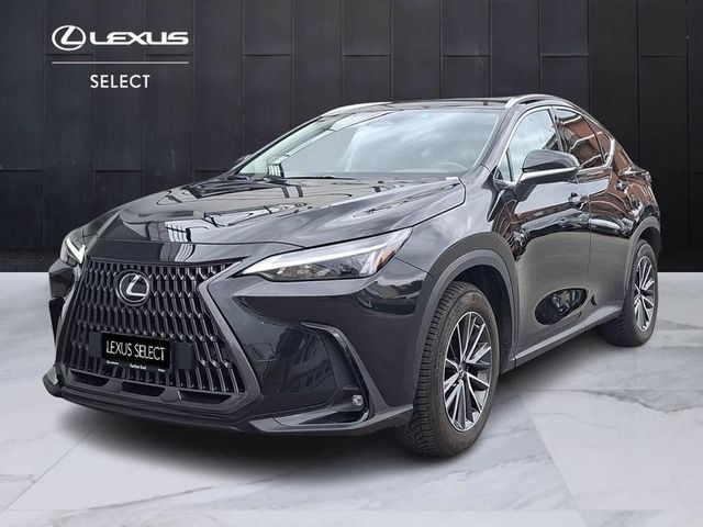 LEXUS ANDERE