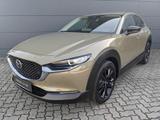 Mazda CX-30 2.5l (140PS) Homura Kamera Navi 2025 NEU - Mazda: Grün