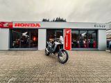 Honda XL 750 TRANSALP VORFÜHRER - Offers matching your search criteria
