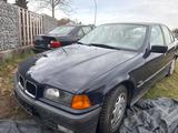 BMW 316i 316i - BMW 316 aus 1994: 316i