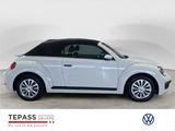 Volkswagen Beetle Cabriolet 1.2 TSi KLIMA PDC KOMFORT - Volkswagen Beetle in Essen
