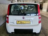 Fiat Panda 1.2 4X4 CLIM - Fiat Panda: 1.2