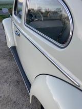 Volkswagen Käfer - Offers