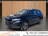 Skoda Karoq 1.5 TSI DSG Selection*Kessy*DAB*LED
