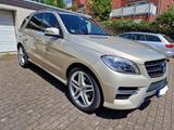 Mercedes-Benz ML 350 CDI BlueTec Edition 1 - Designo! - TÜV! - Mercedes-Benz ML 350 Gebrauchtwagen in München