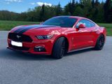 Ford Mustang 2.3 / Schalter / Liebhaberfahrzeug